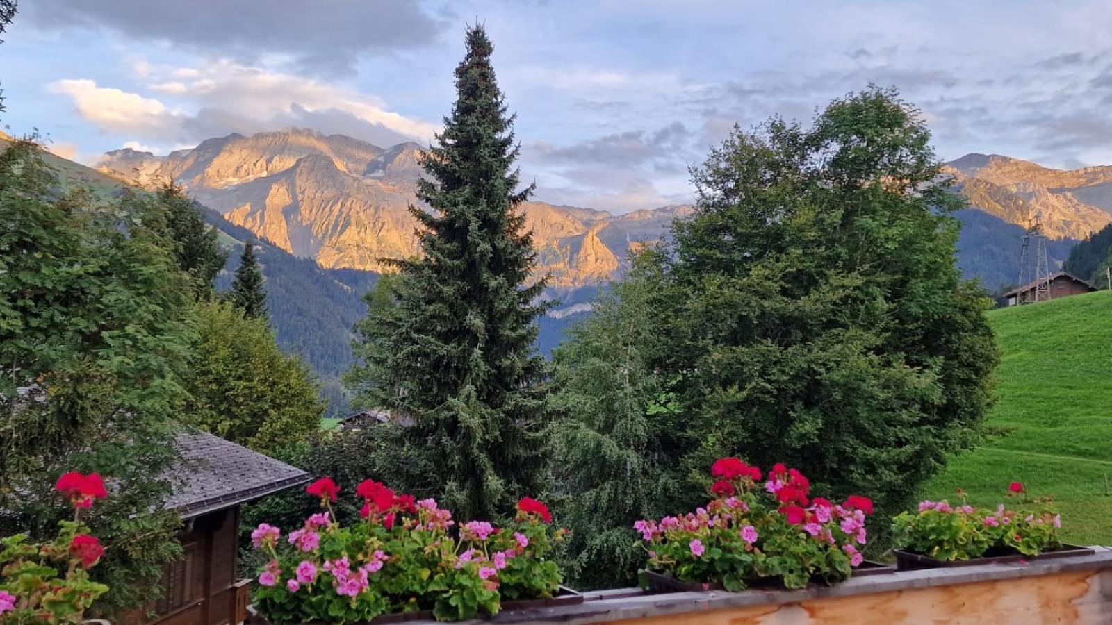 Large Deluxe Studio For 2 - Chalet Lovo Lenk im Simmental Exterior foto