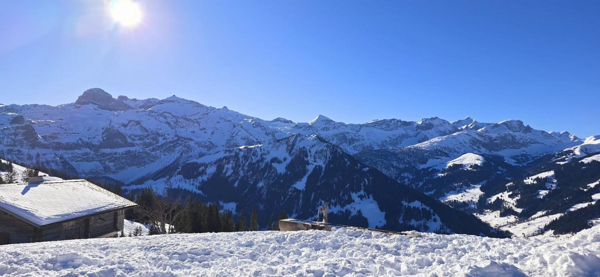 Large Deluxe Studio For 2 - Chalet Lovo Lenk im Simmental Exterior foto