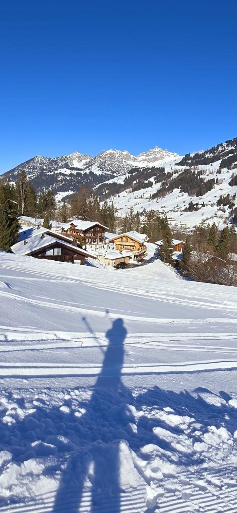 Large Deluxe Studio For 2 - Chalet Lovo Lenk im Simmental Exterior foto